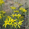 DSC00996.JPG